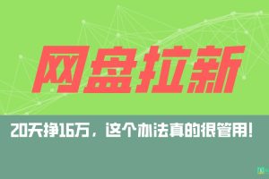 网盘拉新+私域全自动玩法，0粉起号，小白可做，当天见收益，已测单日破5000