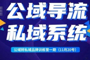 Peter·公域转私域品牌训练营，全套起号打法+沉淀私域系统，企业引流个人微信