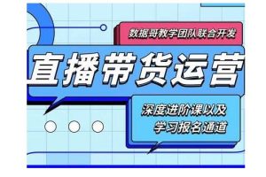 数据哥·新直播带货运营课(含电子资料)：破冷启动、818算法破解、高效率带货等