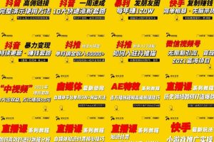 2021聚蚁思维高级合伙人vip会员课程合集，帮助上万人通过短视频变现益利