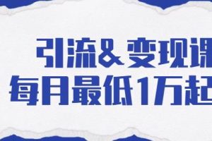 引流变现课：分享一整套流量方法以及各个渠道收入，每月最低1万起！