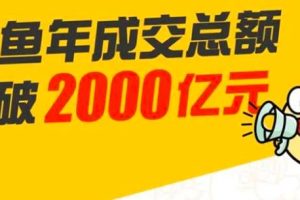 龟课·闲鱼无货源电商课程第19期：操作好一天出几单，赚个几百块