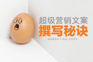 英盛网价值20元收费课程《超级营销文案撰写秘诀》全2集（欧阳）