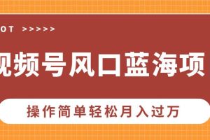 （13945期）视频号风口蓝海项目，中老年人的流量密码，操作简单轻松月入过万