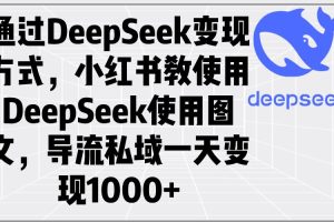 （14179期）通过DeepSeek变现方式，小红书教使用DeepSeek图文，导流私域一天变现1000+