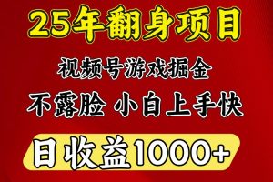 一天收益1000+ 25年开年落地好项目