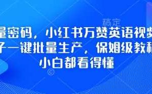 流量密码，小红书万赞英语视频用扣子一键批量生产，保姆级教程，小白都看得懂