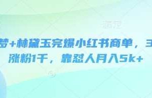 即梦+林黛玉完爆小红书商单，3天涨粉1千，靠怼人月入5k+