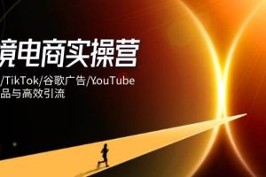 （14419期）跨境电商实操营：独立站/TikTok/谷歌广告/YouTube，精准选品与高效引流
