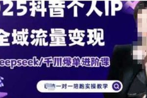 2025个人IP短视频带货(进阶版)全域流量变现，deepseek千川爆单进阶课