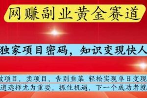 网创副业黄全赛道，掌握独家项目密码，知识变现快人一步，告别韭菜轻松实现单日变现1k+【揭秘】
