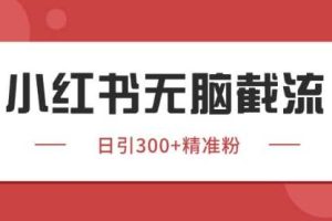 小红书只要你有同行就能获客，独家野路子获客玩法，暴力截流【揭秘】
