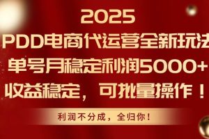（14839期）2025PDD电商代运营全新玩法，单号月稳定利润5000+，收益稳定，可批量操作
