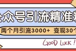 公众号精准粉引流玩法，2个月3000+精准粉，变现30个W【揭秘】
