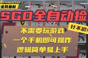 （15679期）CSGO自动捡漏项目，最新玩法，不用挂机不用玩游戏，一个手机即可操作。…