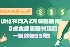（15521期）小红书月入2万秘密曝光！绝版图书项目，一单就赚99元！