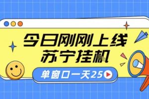 苏宁全自动采集挂G项目 稳定可批量 单窗口收益30+ 附教程【揭秘】