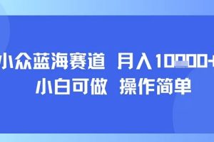 小众蓝海赛道，小白可做，操作简单，每天30分钟，月入1W+