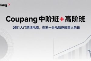 Coupang中阶班+高阶班，0到1入门跨境电商，在家一台电脑挣韩国人的钱