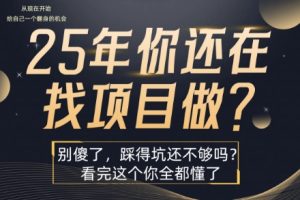 25年，你还在疯狂的找项目吗？别傻了，看完这个你都懂了【揭秘】