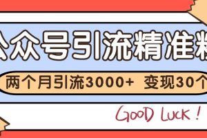公众号精准粉引流玩法 2个月3000+精准粉 变现30万+