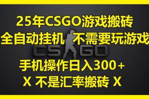 25年CSGO游戏搬砖，全自动挂机，不需要玩游戏，手机操作日入300+。(不是汇率搬砖)