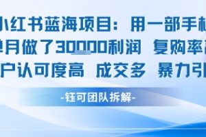 小红书蓝海项目，一部手机单月做了3W利润，小白也能月入过1W用户认可度高成交多