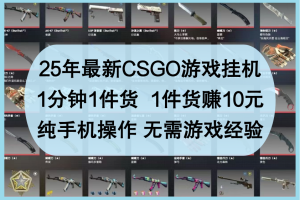 25年最新CSGO游戏挂机，1分钟1件货，1件货赚10元，纯手机操作，无需游戏经验