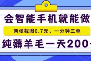 2025年零撸手机项目，二十秒一单，纯薅羊毛，一天200+做就有【揭秘】