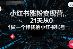 小红书涨粉变现营，21天从0-1做一个挣钱的小红书账号