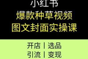 小红书爆款种草视频图文封面实操课，开店、选品、引流、变现全流程