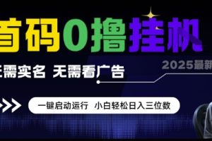 首码0撸挂G项目，无需实名无需看广告 一键启动运行，小白轻松日入三位数【揭秘】