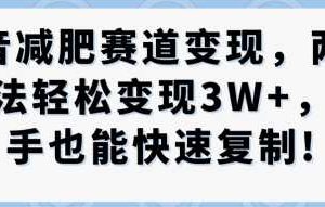 抖音减肥赛道变现，两种玩法轻松变现3W+，新手也能快速复制