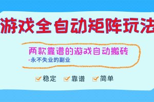 （16589期）游戏全自动矩阵玩法，日入1000+，永不失业的副业！