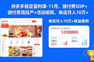 （16557期）拼多多稳定盈利课-11月，强付费SOP+微付费高投产+活动矩阵，单店月入10w+