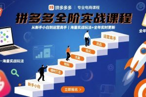 拼多多全阶实战课程，从新手小白到运营高手，海量实战玩法+全年实时更新【2025年10月更新】