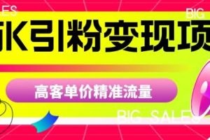 商K引粉变现项目，高客单价精准流量【揭秘】
