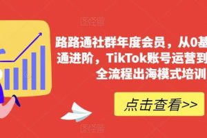 路路通社群年度会员,从0基础到精通进阶,TikTok账号运营到变现的全流程出海模式培训