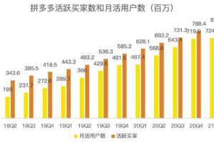 蓝海项目拼多多视频带货课，2022年入百万新风口【视频教程+软件】