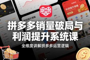 拼多多销量破局与利润提升系统课,全维度讲解拼多多运营逻辑