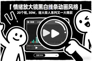 情绪放大镜黑白线条动画风格，20个视频，涨粉30W，继火柴人系列又一大爆款