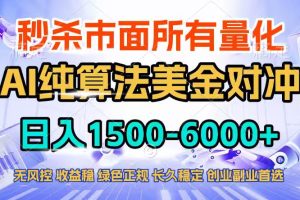 （17444期）2026全网首发黑马项目，AI美金算法对冲，日入2000-6000+，稳定长效0风险，彻底告别996四工资…