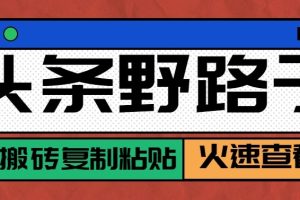 头条单账号日收益300+野路子玩法赛道，无脑搬砖复制粘贴，保姆级教程