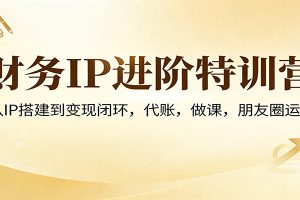 财务IP进阶特训营：从IP搭建到变现闭环，代账，做课，朋友圈运营