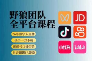 野狼团队2026新版全平台短视频带货教学，打开流量突破口，开始Ai带货（更新26年3月）