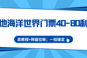 极地海洋世界门票40-80利润,卖教程+网盘拉新;一招搞定