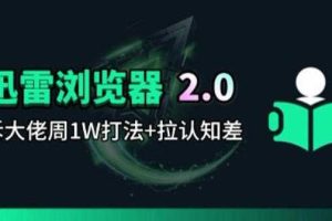 迅雷浏览器项目2.0_拆个大佬周1W的打法