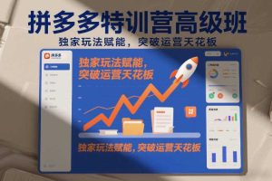 拼多多特训营高阶班，独家玩法赋能，突破运营天花板（更新26年4月18日）
