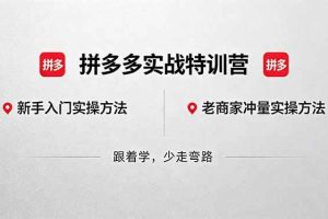 （18468期）拼多多实战特训营(更新5月15)：不管是新手入门或老商家冲量，都有实操方法，跟着学，少走弯路