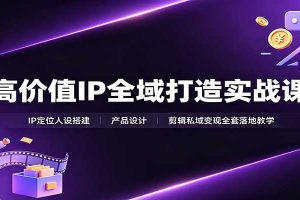 高价值IP全域打造实战课：IP定位人设搭建，产品设计，剪辑私域变现全套落地教学